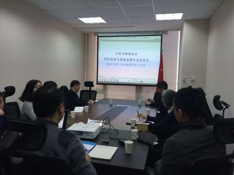 国际投资委员会_副本
