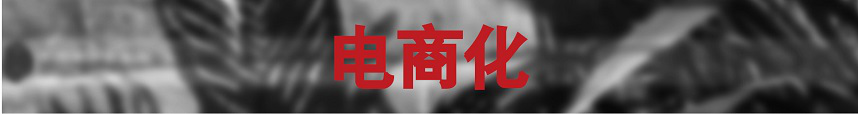 图片17